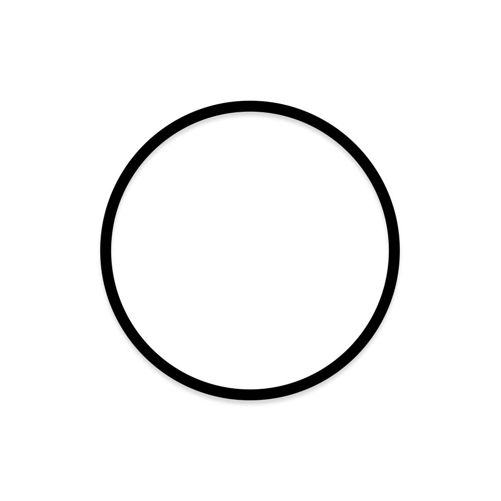Filter Housing O-Ring - Current Models Only